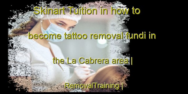 Skinart Tuition in how to become tattoo removal fundi in the La Cabrera area | RemovalTraining | RemovalClasses | SkinartTraining-Spain